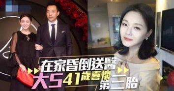 大s最新爆料辟谣,揭秘真实事件背后的真相